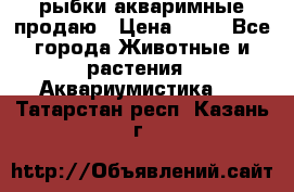 рыбки акваримные продаю › Цена ­ 30 - Все города Животные и растения » Аквариумистика   . Татарстан респ.,Казань г.